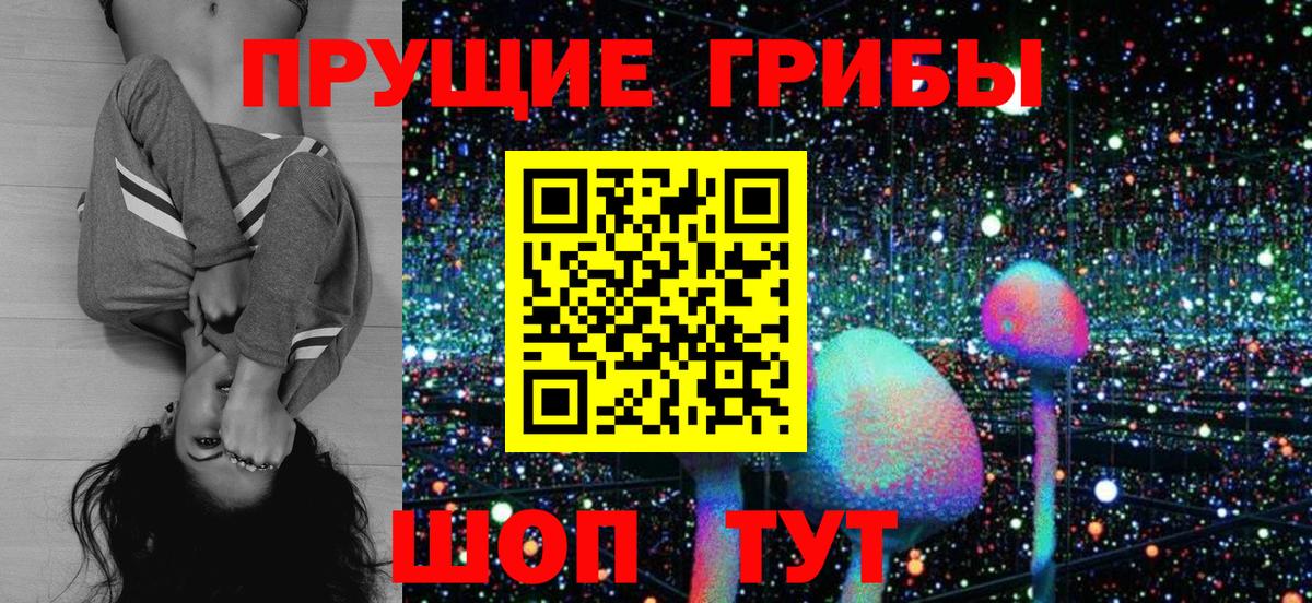 Псилоцибиновые грибы Magic Shrooms Фрязино